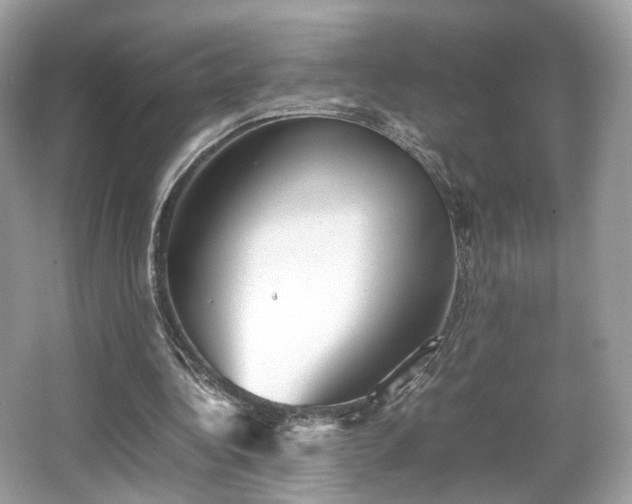 X0000066080340200603131143