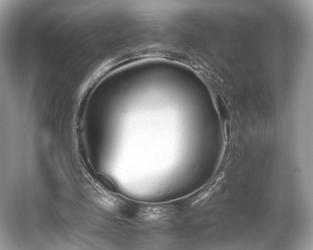 X0000066080341200603131143