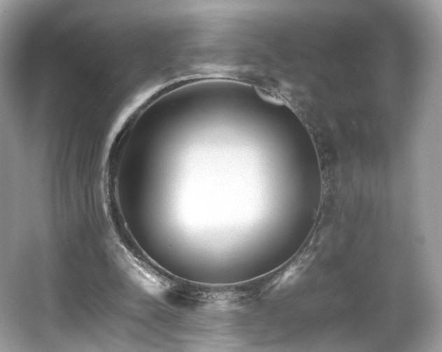 X0000066080342200603131143