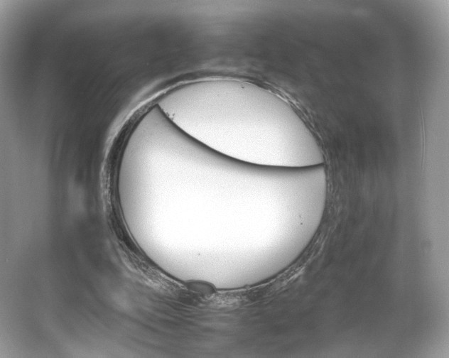 X0000066080343200603131143