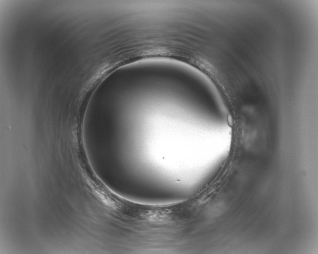 X0000066080345200603131143
