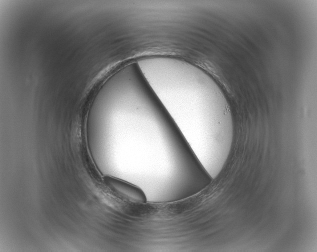 X0000066080348200603131143