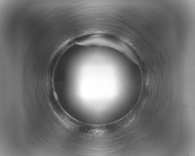X0000066080352200603131144