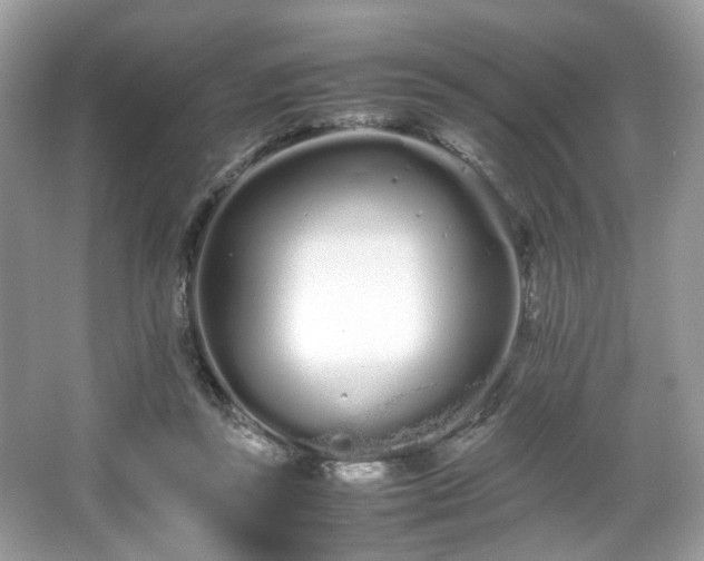 X0000066080355200603131144