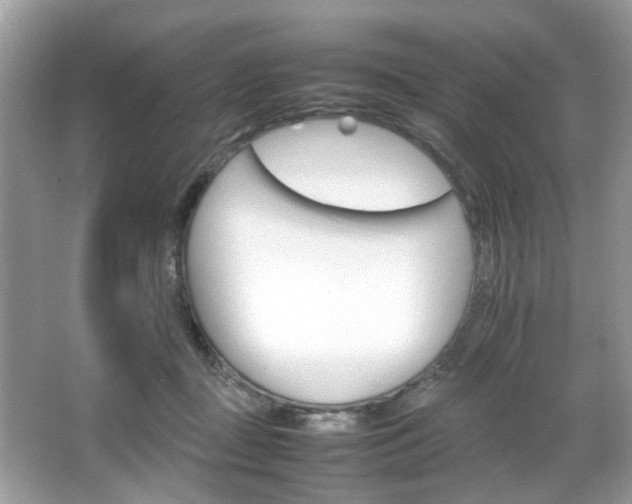 X0000066080363200603131144