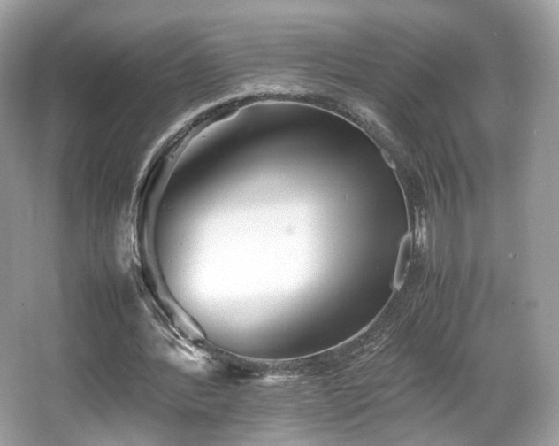 X0000066080388200603131143