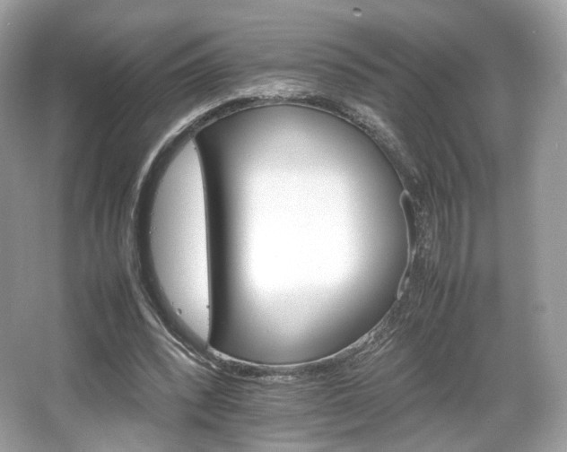 X0000066080392200603131143