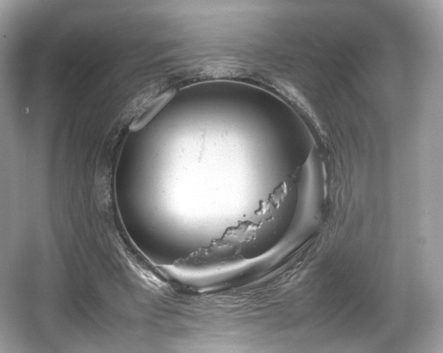 X0000066080393200603131143