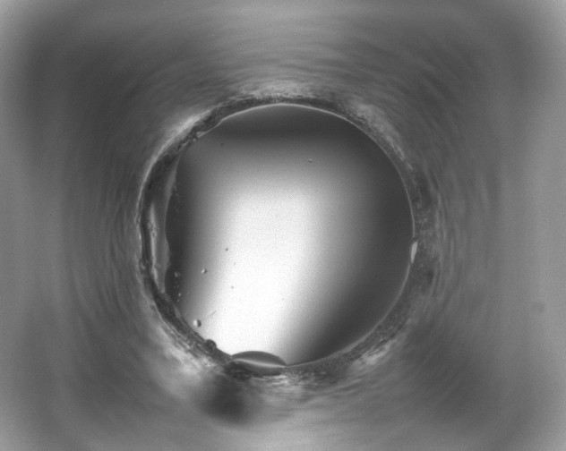 X0000066080395200603131143