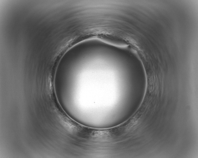 X0000066080398200603131143