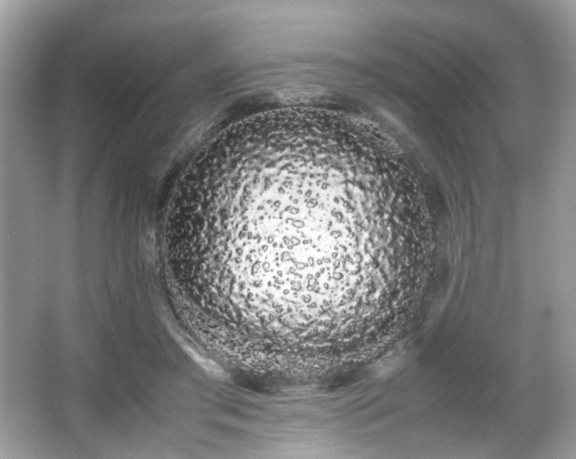 X0000066080405200603131143
