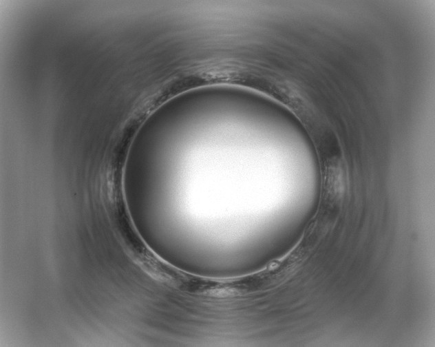 X0000066080408200603131143