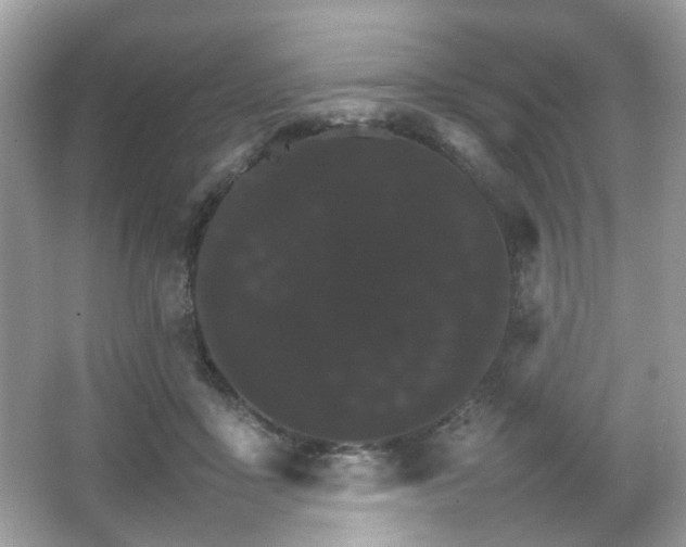 X0000066080411200603131143