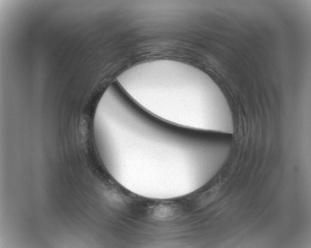 X0000066080412200603131143