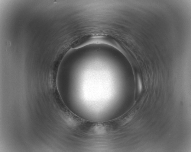 X0000066080416200603131143