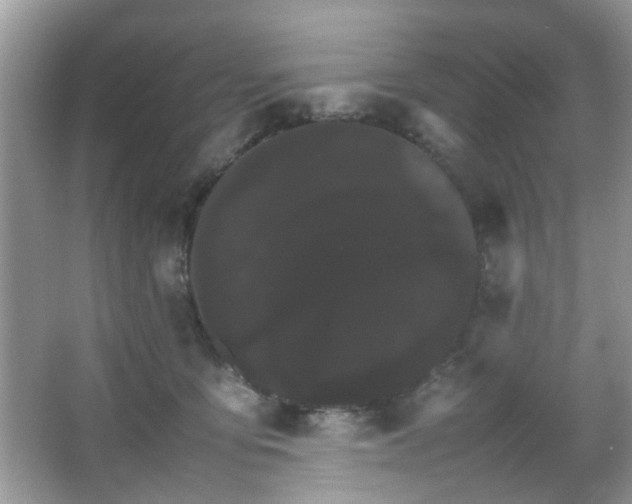 X0000066080419200603131143