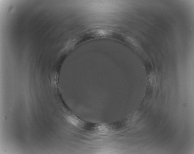 X0000066080423200603131143