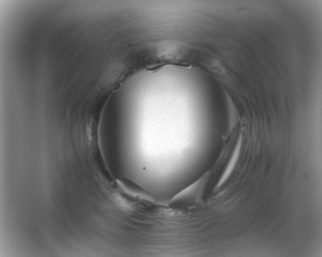 X0000066080424200603131143