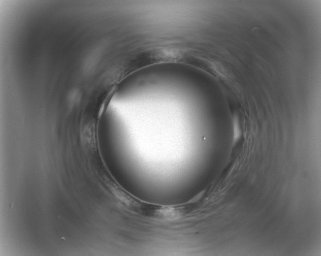 X0000066080425200603131143