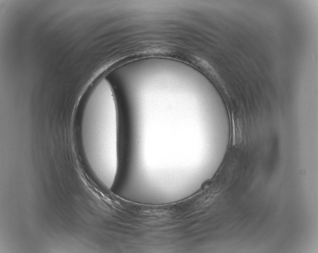 X0000066080435200603131142