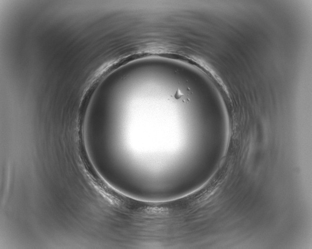 X0000066080437200603131142
