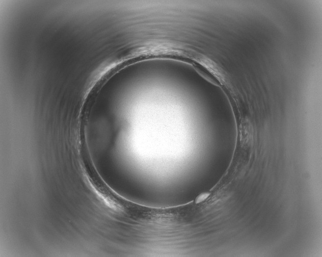 X0000066080438200603131142