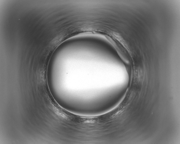 X0000066080441200603131142
