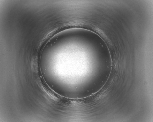X0000066080442200603131142