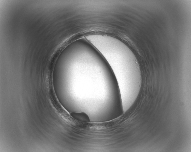 X0000066080444200603131142