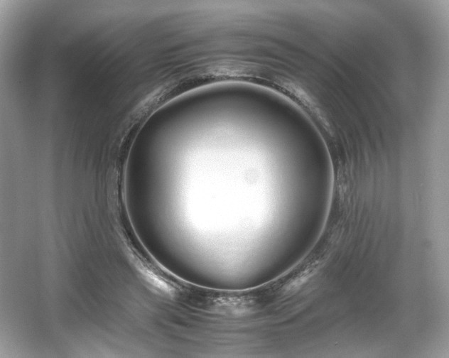 X0000066080445200603131142