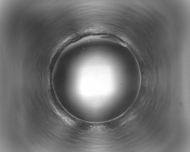 X0000066080446200603131142