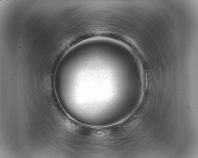 X0000066080447200603131142