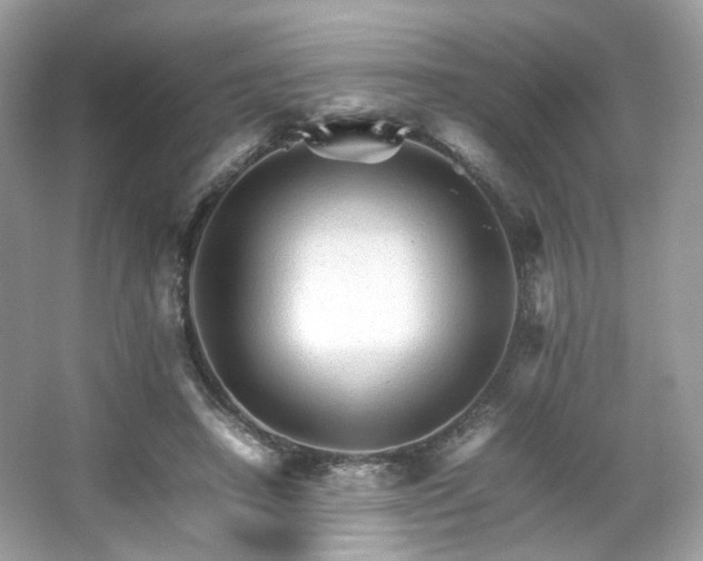 X0000066080450200603131142