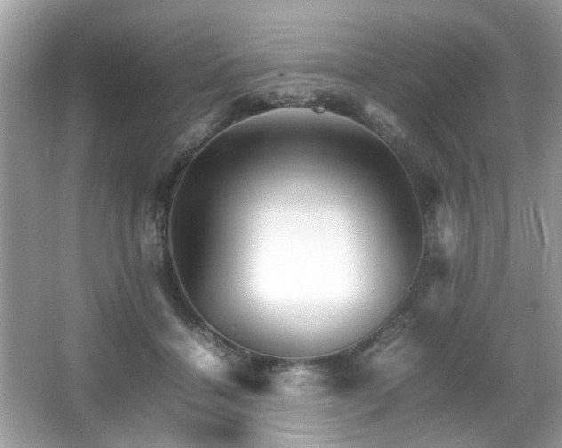 X0000066080460200603131142