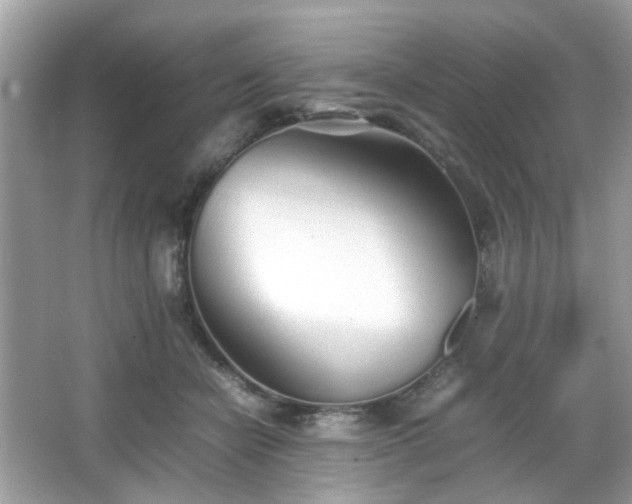 X0000066080462200603131142
