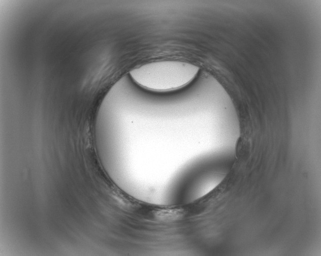 X0000066080465200603131142