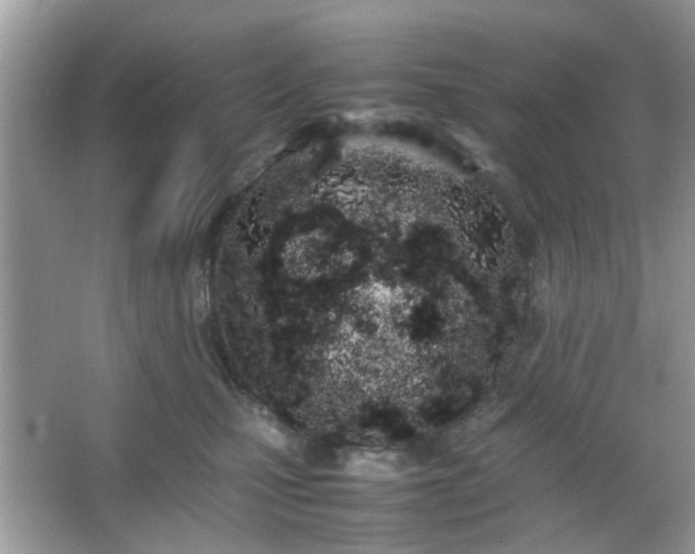 X0000066080471200603131142