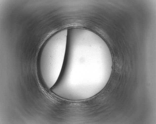 X0000066080482200603131142