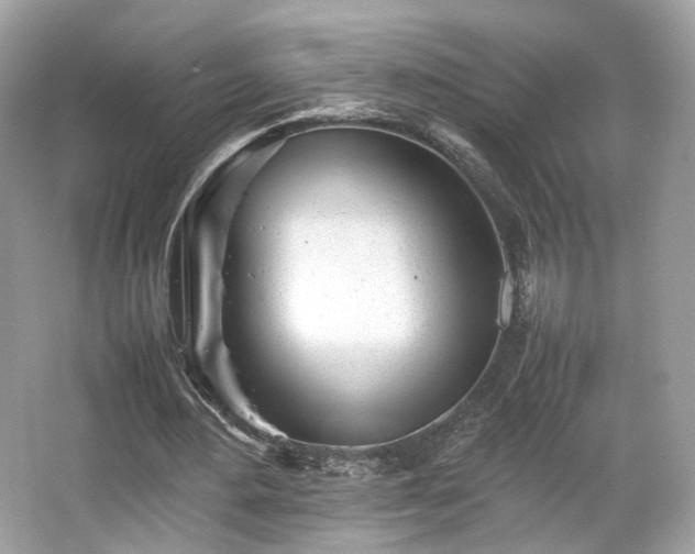 X0000066080484200603131142