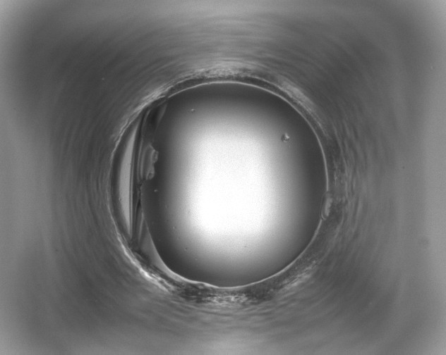 X0000066080485200603131142