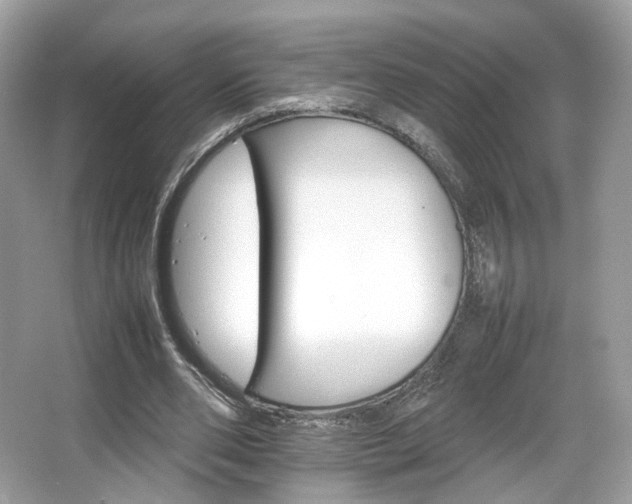 X0000066080486200603131142