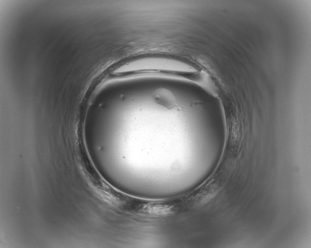 X0000066080491200603131141