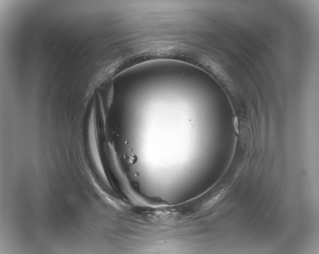 X0000066080493200603131141