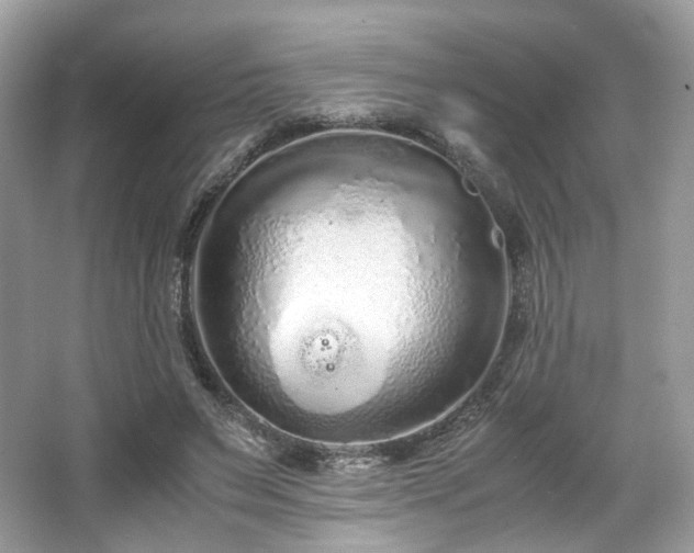 X0000066080495200603131141