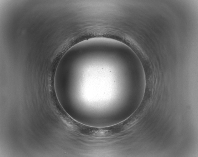 X0000066080497200603131141