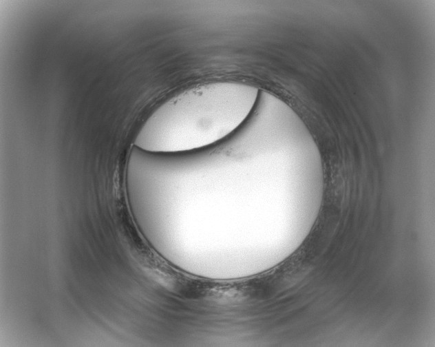X0000066080502200603131141