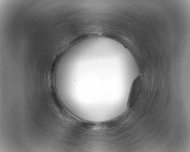 X0000066080504200603131141
