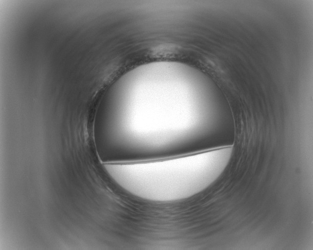 X0000066080508200603131141