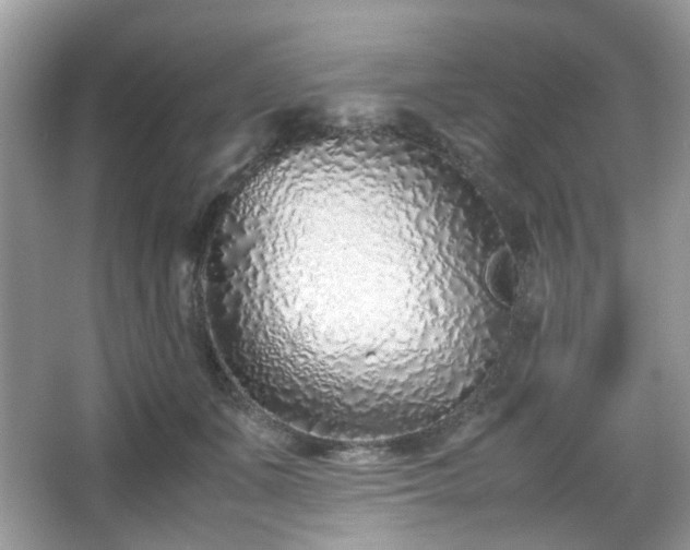 X0000066080511200603131141