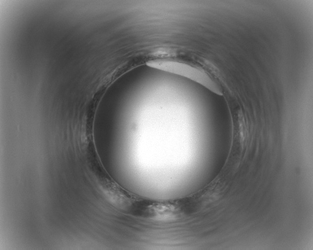 X0000066080512200603131141